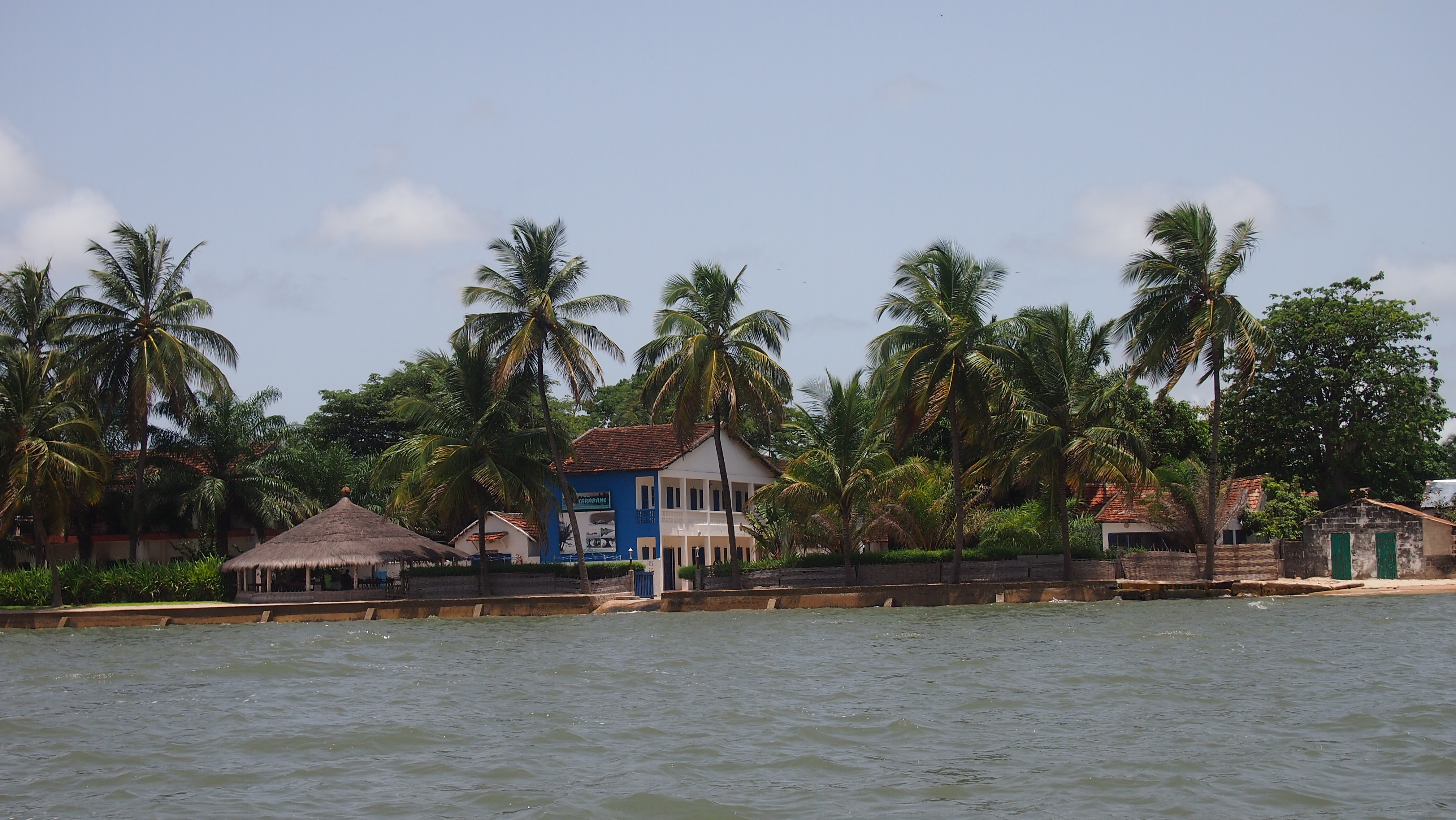 senegal baobab isla de carabane