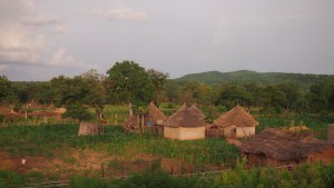 Aldeas País Bassari en verano