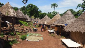 Descubriendo Iwol, aldea Bedick del País Bassari