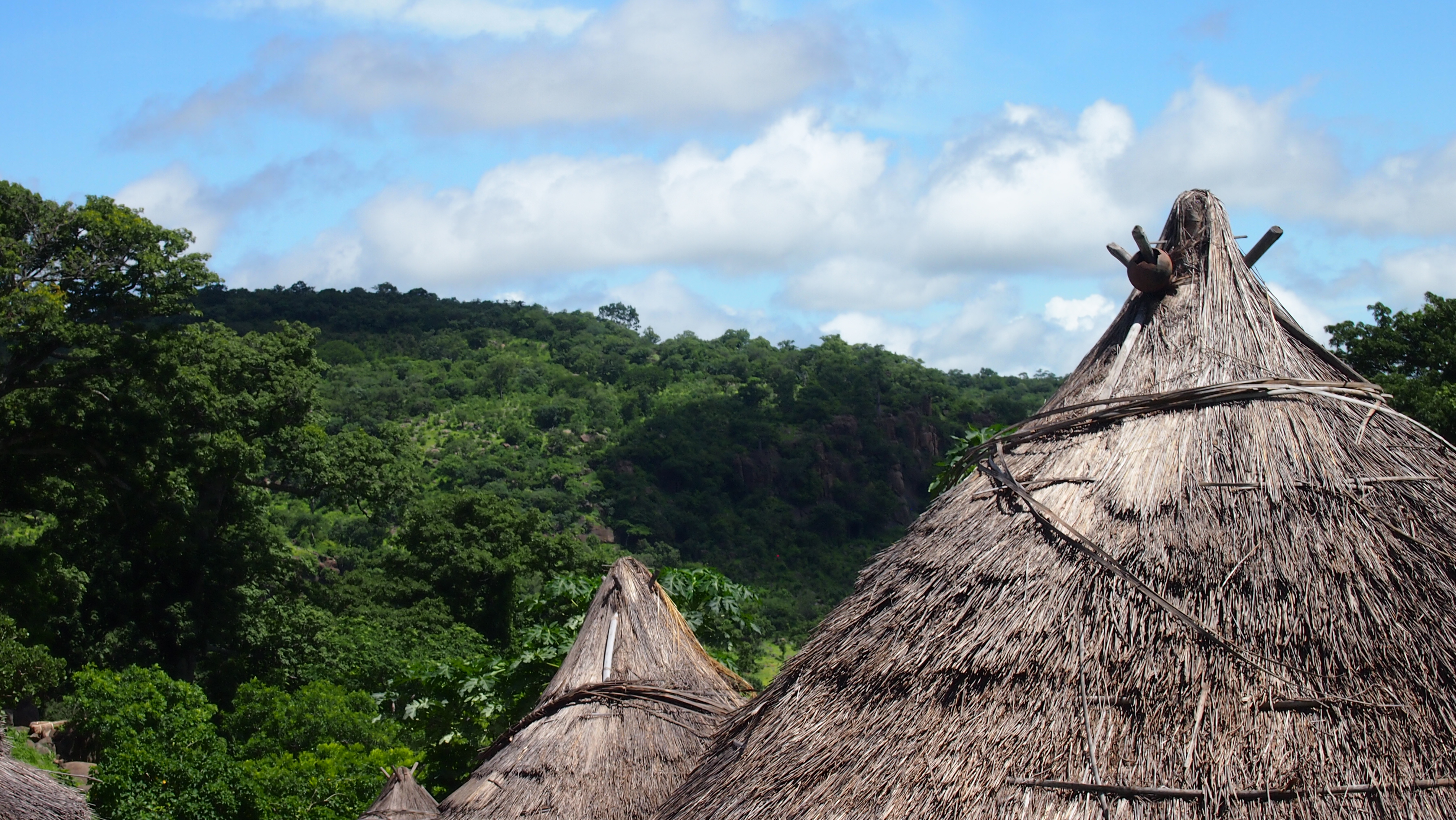 senegal baobab aldeas bassari