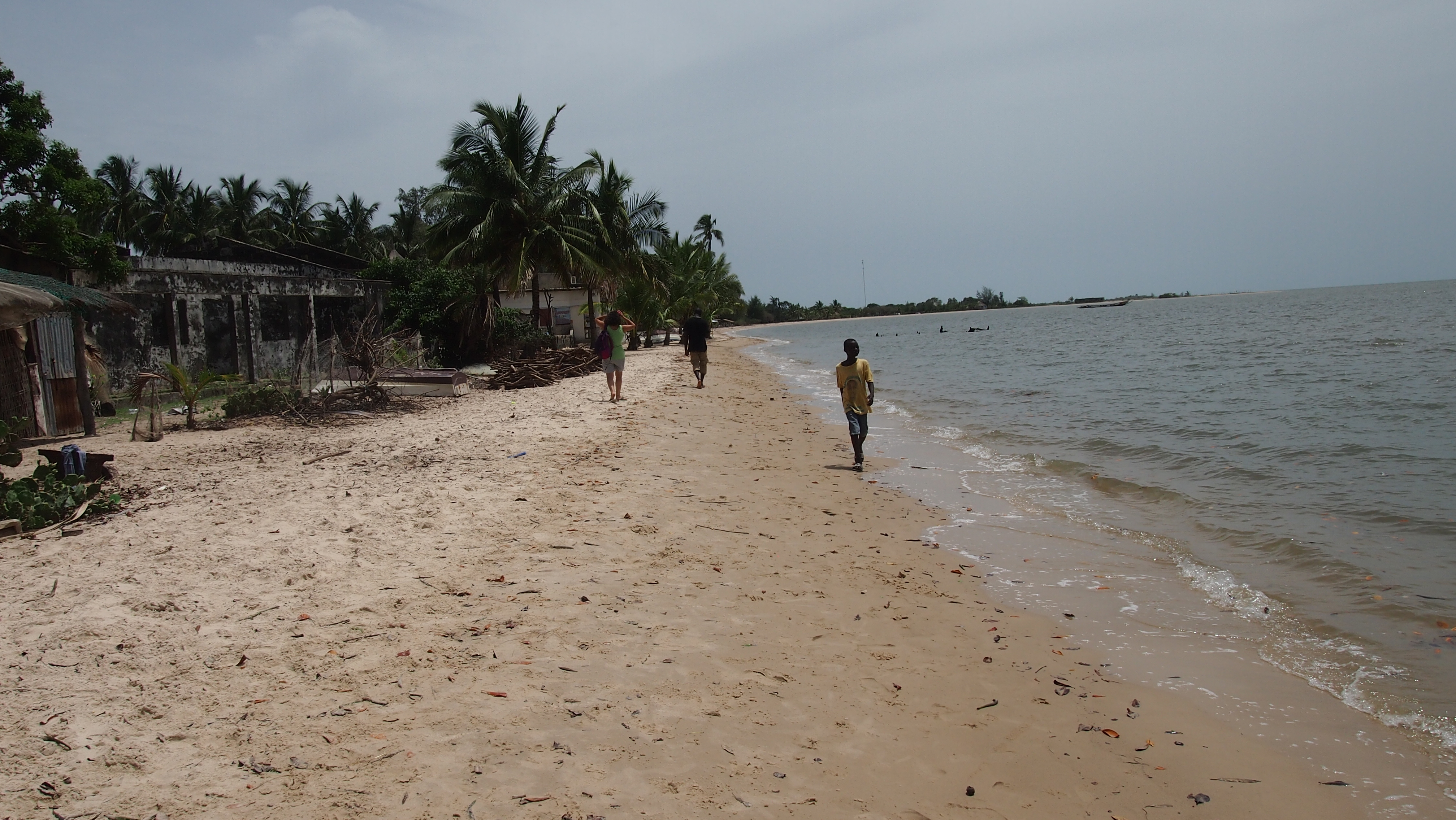 senegal baobab isla carabane