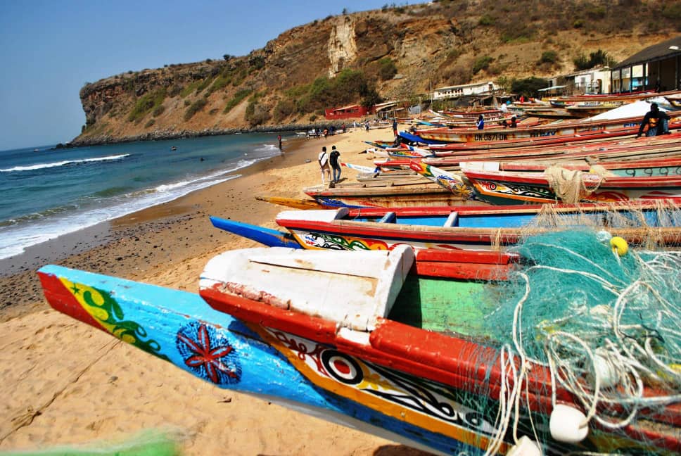 senegal baobab dakar