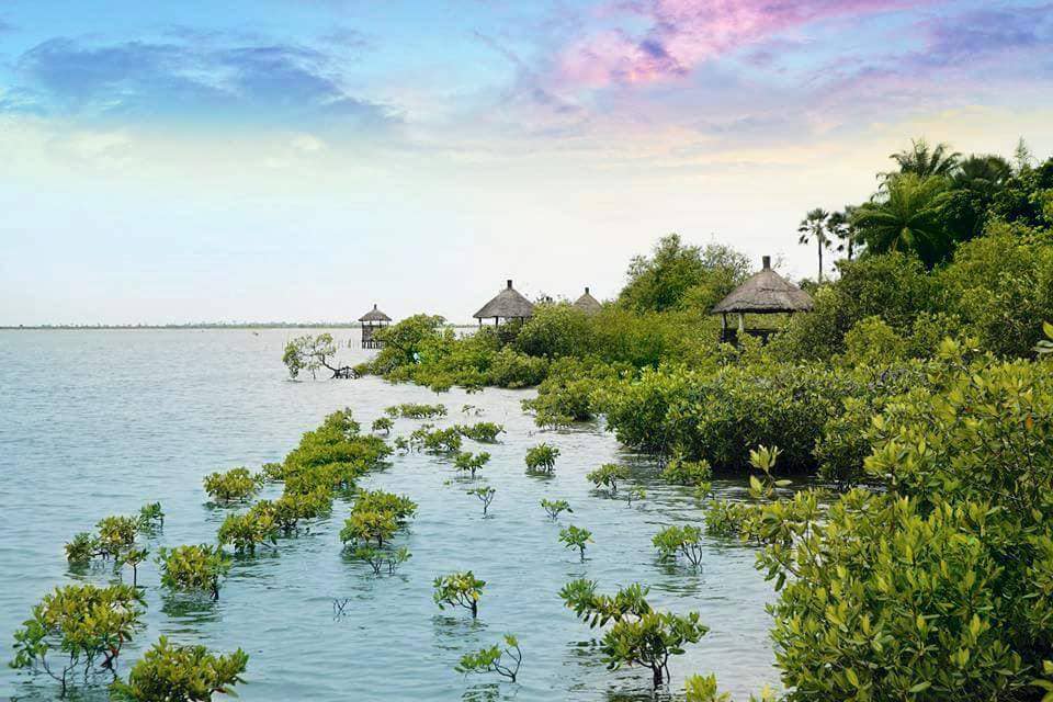 senegal baobab Sine saloum