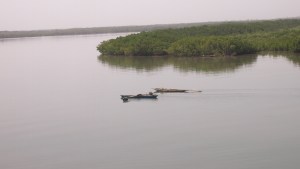 Manglares Casamance