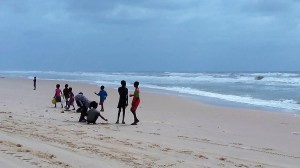 Niños recogiendo conchas en la playa