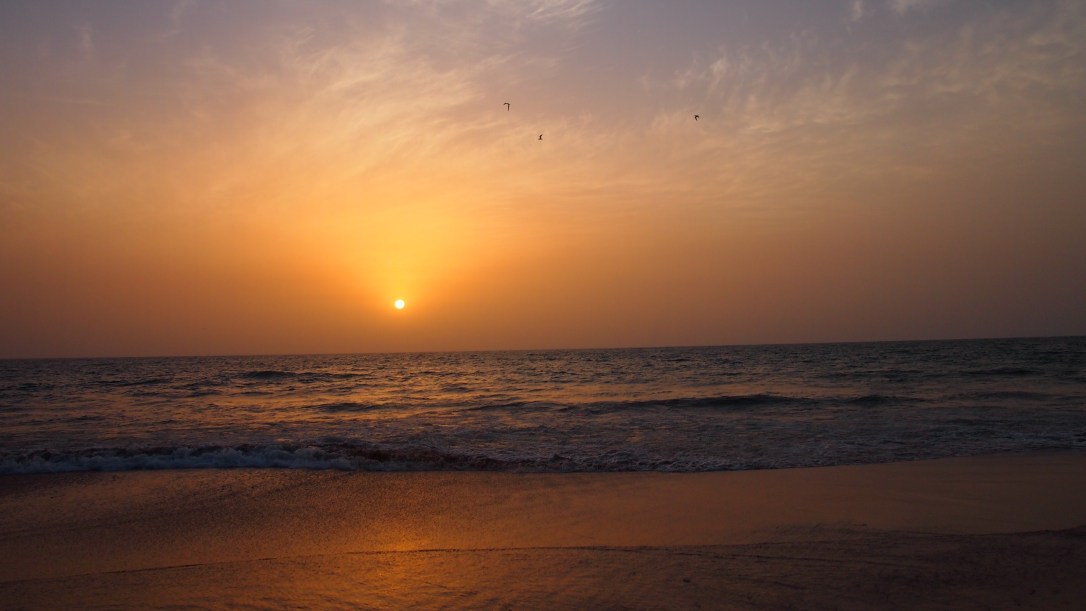 Senegal Baobab Casamance