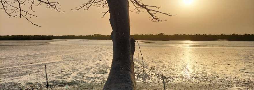 Atardecer en Senegal