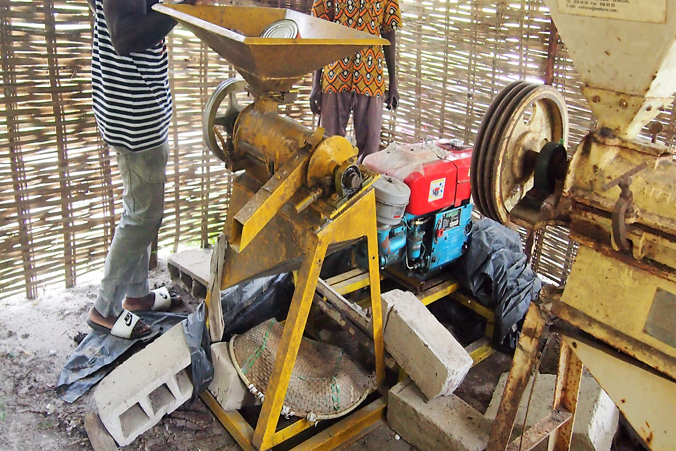 Máquina moledora arroz