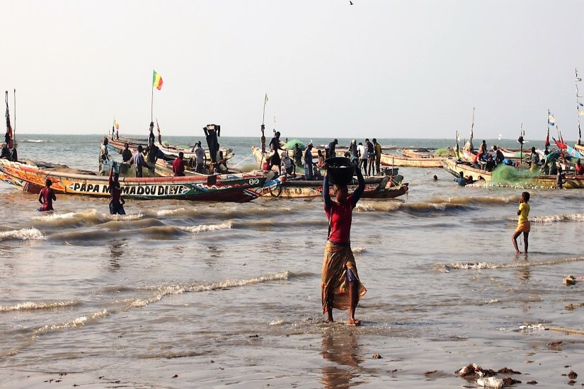 Descarga del pescado en el tradicional puerto pesquero