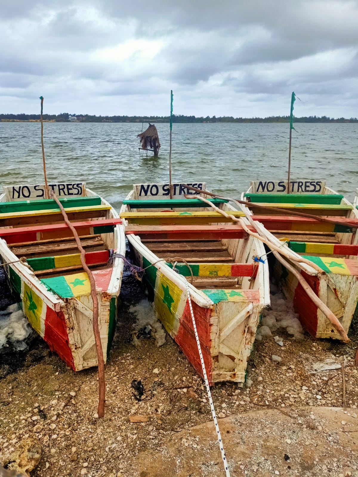 Barcas para navegar por el Lago Rosa pintadas con la bandera de Senegal