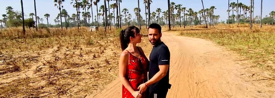 Viajeros al fondo el palmeral