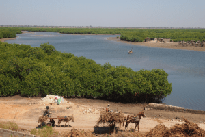 Vista de los graneros a orilla del río