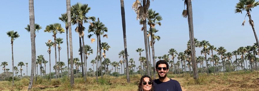 Viajeros al fondo un palmeral