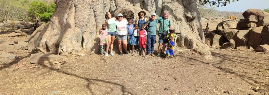 Viajeros en el tronco del baobab , su tronco puede llegar a medir 10 metros de diámetro